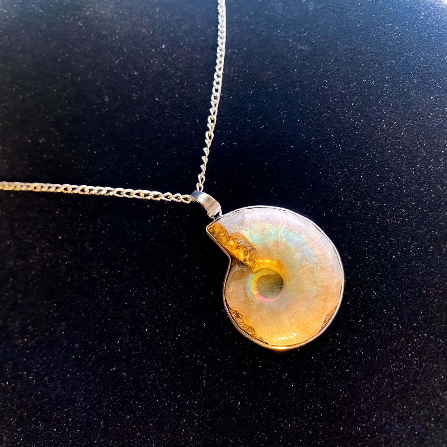 Vintage Nautilus Shell Necklace