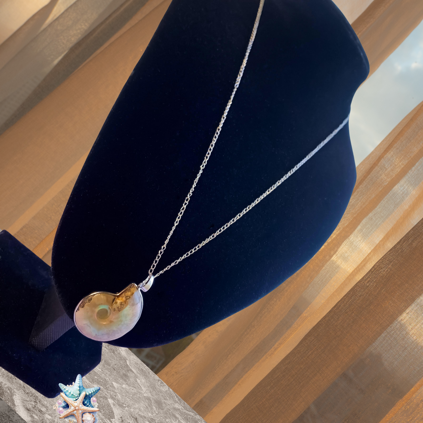 Vintage Nautilus Shell Necklace