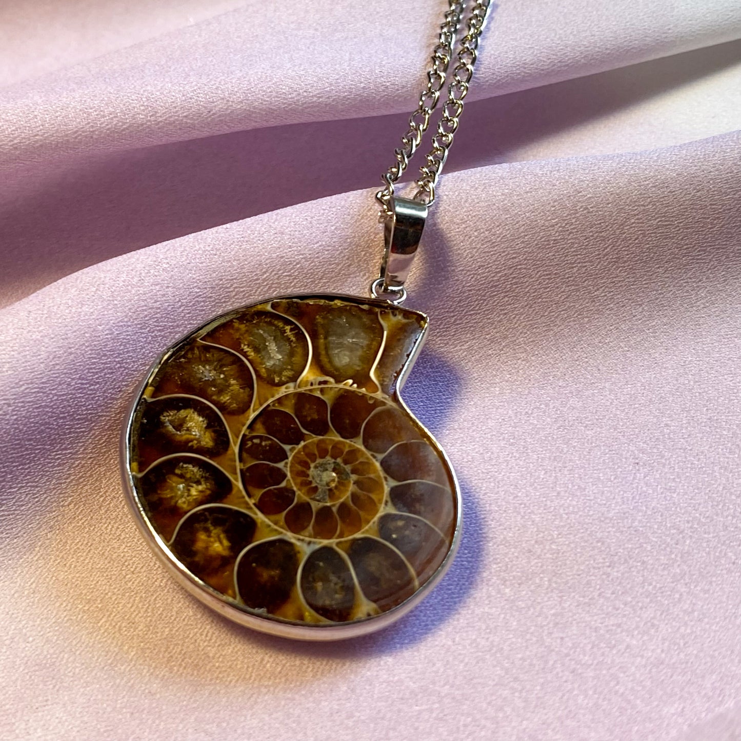 Vintage Nautilus Shell Necklace