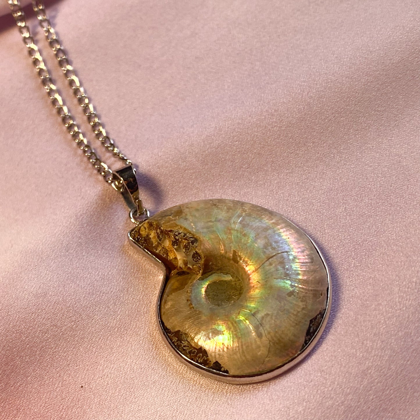 Vintage Nautilus Shell Necklace