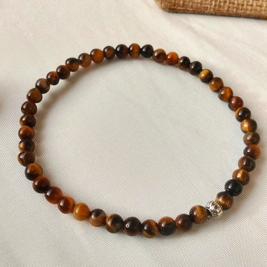 سوار النمر الحارس