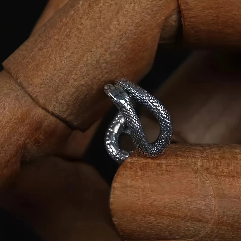 Snake Clip Jewelry Designers  Earing