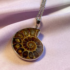 Vintage Nautilus Shell Necklace - GAIA Global