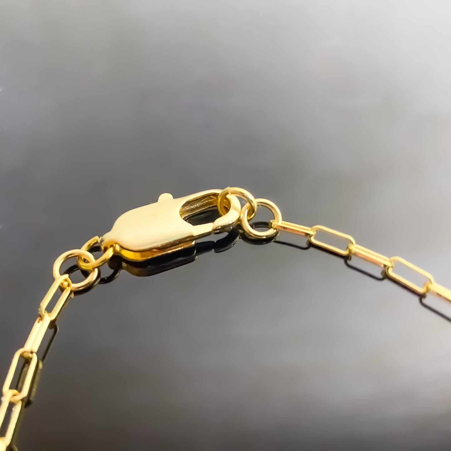 Long Link Necklace