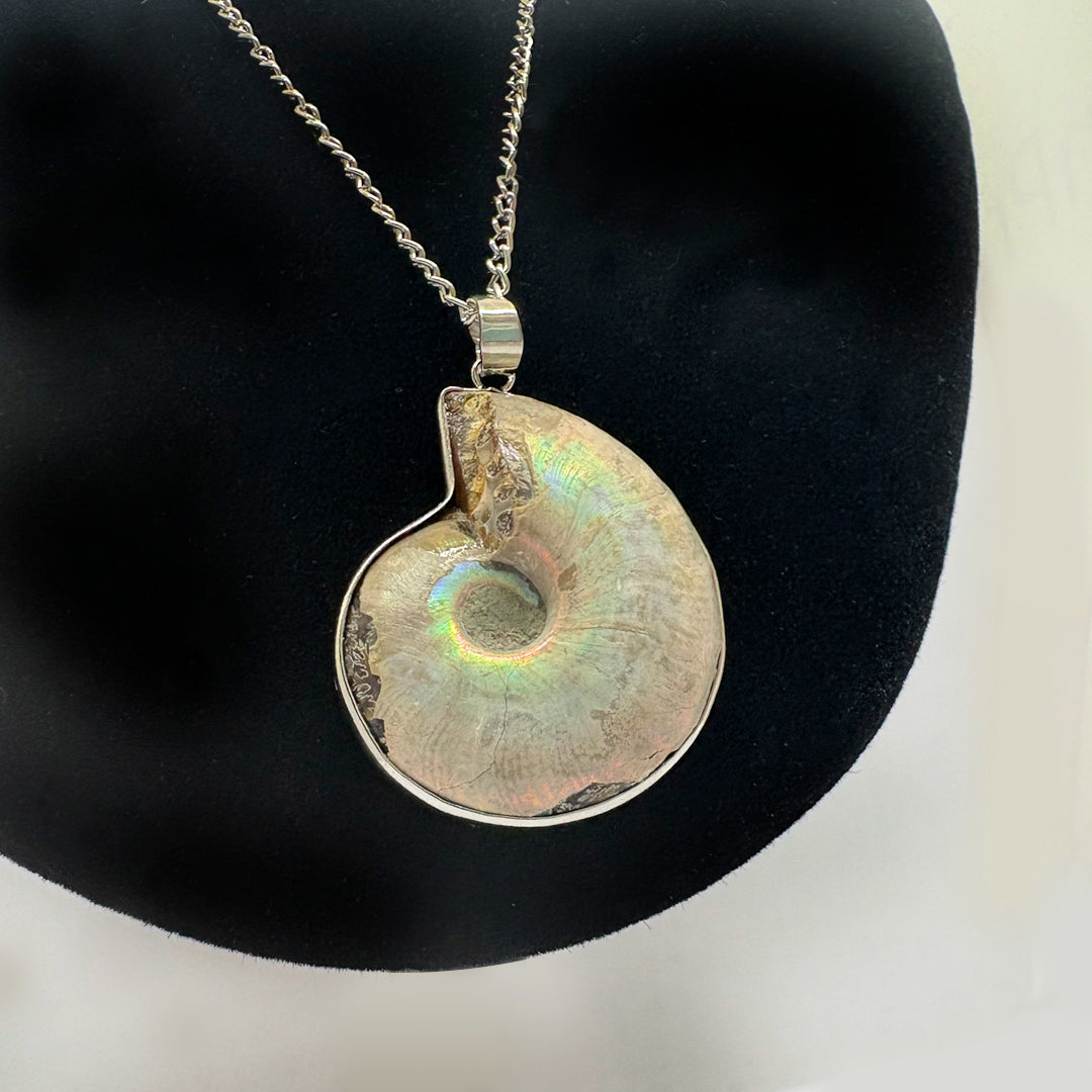 Vintage Nautilus Shell Necklace - GAIA